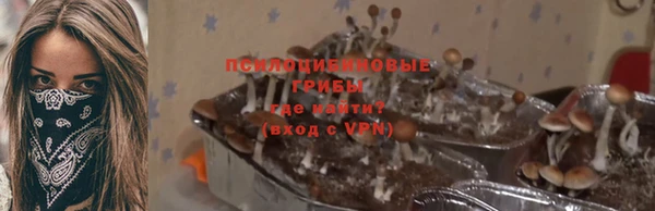 ALPHA PVP Аркадак