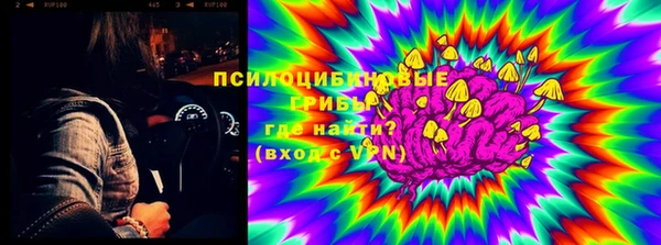 шишки Армянск
