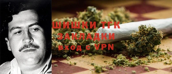 шишки Армянск