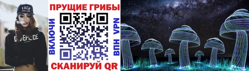 где купить наркоту Балабаново Галлюциногенные грибы Psilocybe
